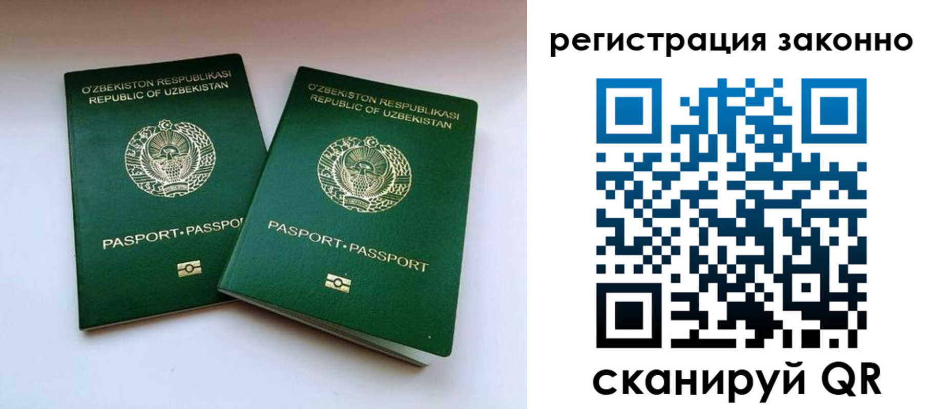 прописка гарантия в Коммунаре